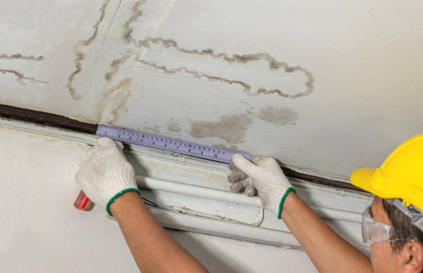 Reliable Mold Remediation contractor in Hopewell, NJ by Water Damage Irwin